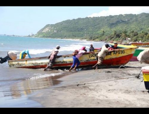 No take-up for fisherfolk insurance policy